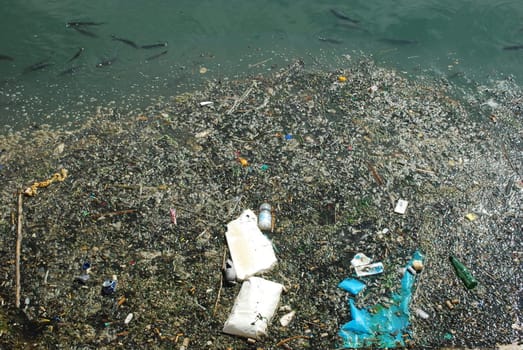 photo of a polluted river full of rubbish and some black fishes