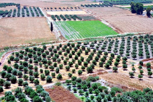 Travel photography: Agriculture in the slopes of the Cretan mountains.