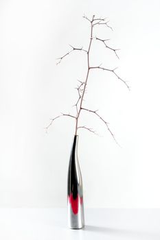 dry branch in a decoration vase, white studio background shot