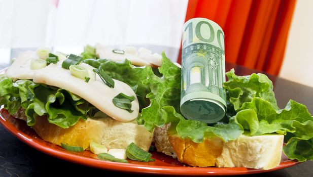 Eating money like bread at breakfast. One hundred euro on a plate with sandwiches
