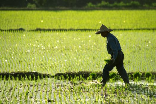 There is a farmer working in the farm.