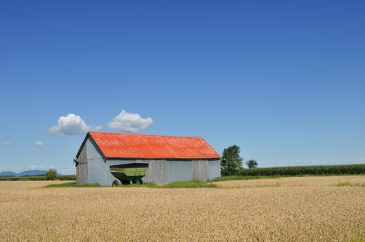 Red barn in wheat and corn fields