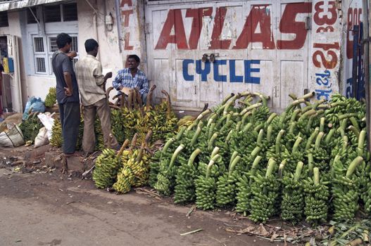 Bunches of green bananas stacked on the sidewalk at the wholesale market in Mysore, Karnatica, India.