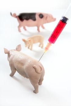 Swine flu A H1N1 vaccine metaphor with toy pigs