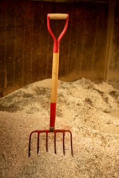 Horse stable witth straw fork tool, sawdust.