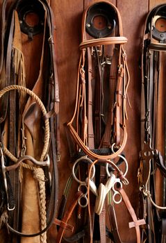 Horse riders complements, rigs, reins, leather over wood