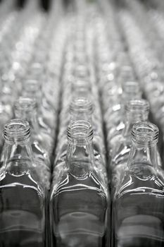 Glass square transparent bottles, factory lines and rows