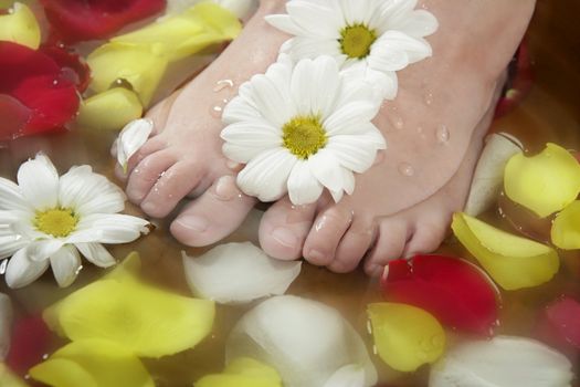 Aromatherapy, flowers children feet bath, colorful rose petal
