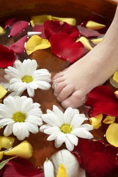 Aromatherapy, flowers children feet bath, colorful rose petal