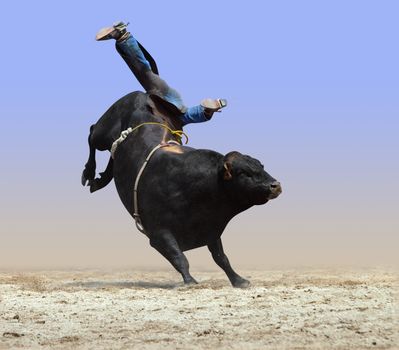 Cowboy Falling off a Bull isolated with path