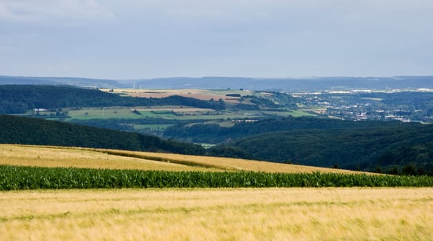 Landscape in Luxembourg, Europe with village and grainfields in summer