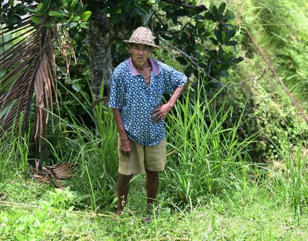 The old man in hat. Bali. Indonesia