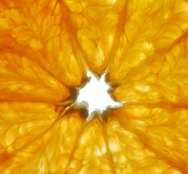 Orange. A cut of a fruit of an orange with the bright expressed structure