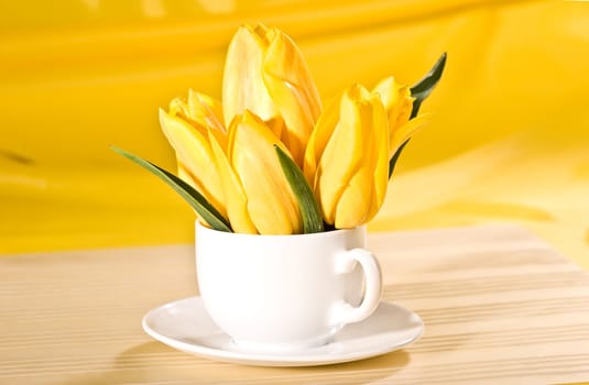 yellow tulip in the bowl over yellow background