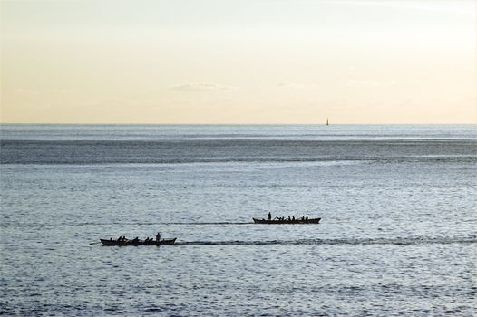 Rowing boat race in the afternoon