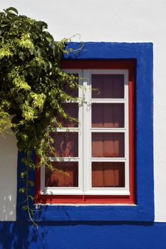 Red window with vines, Portugal