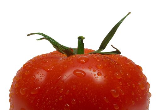 close-up single tomato with waterdrops, isolated on white