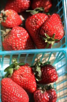 Close up of the strawberries.