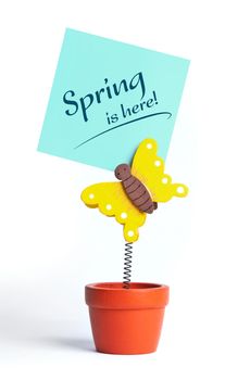 Isolated image of green notepaper attached by a butterfly toy in flowerpot