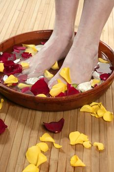 Aromatherapy, flowers woman feet bath, colorful rose petal