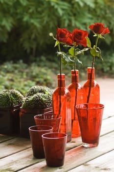 Table in the garden with still life, red glass, plants and roses