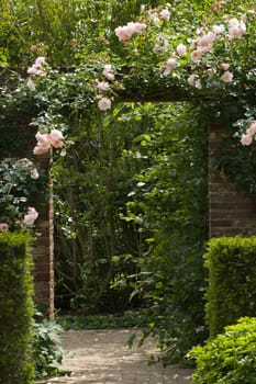 Gate in stone wall in the garden with pink climbing rose New Dawn