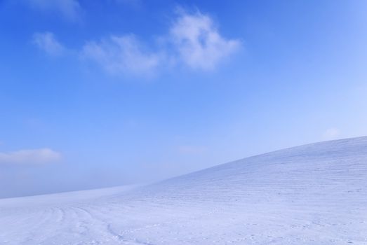 winter landscape