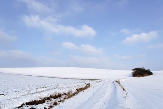 a winter landscape