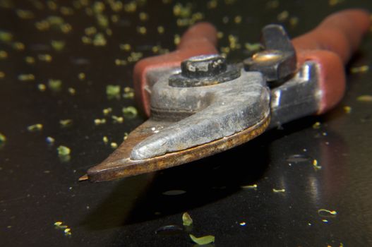 detail of rusty garden shears on used wood