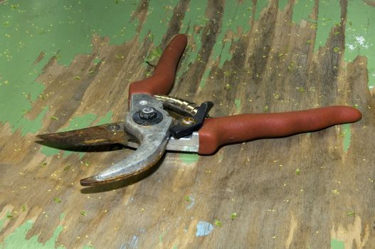 detail of rusty garden shears on used wood