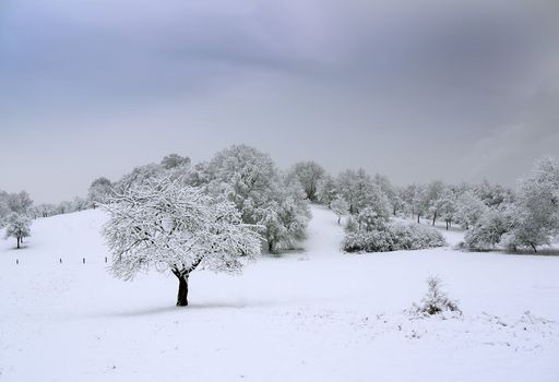 The countryside is covered with snow
