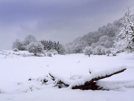 a snowy countryside