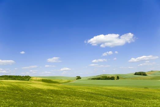 a countryside landscape