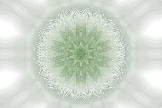 green and grey abstract design from a dandelion seedhead