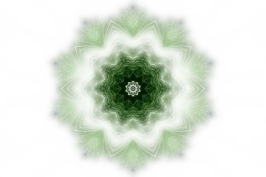 green and grey abstract design from a dandelion seedhead
