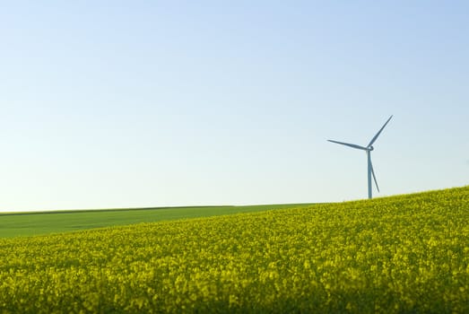 wind turbine and agriculture