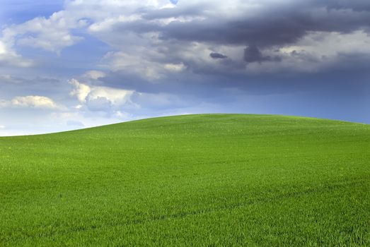 a green hill