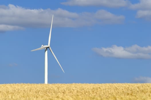 a wind turbine in a cultivated field