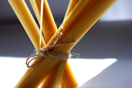 spaghetti pasta tied and sunlit against bluish background