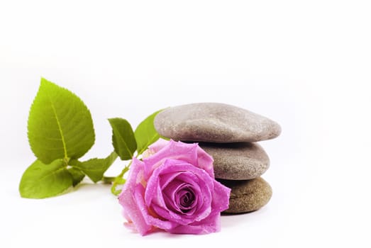a rose and a stack of pebble