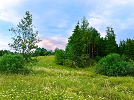 Photo of the country landscape with green meadow and forest