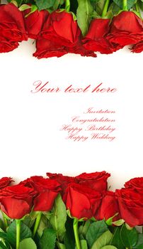 template for the invitation cards with red roses  