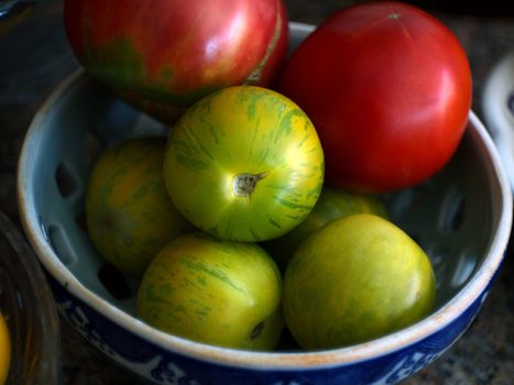 Tomatoes fronm the garden in California.