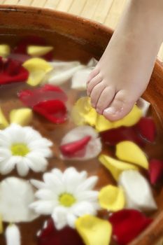 Aromatherapy, flowers children feet bath, colorful rose petal