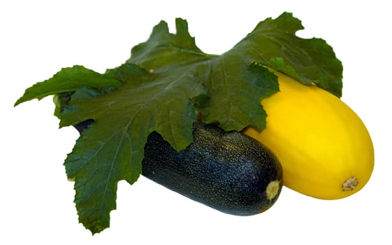 Green and yellow vegetable marrow under green sheet