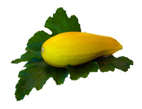 yellow vegetable marrow on green sheet