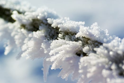 Close up of frost on barb wire.                 