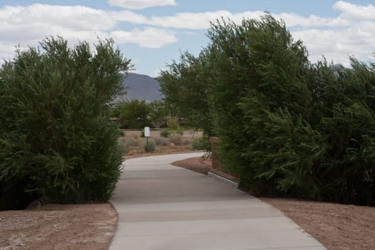 walk way trough bushes in a park with concrete pavement