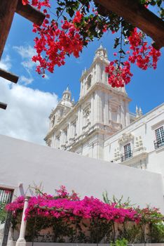 famous Santa Engracia church in Lisbon from the 17th century (flower frame)