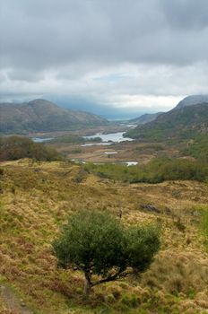 Killarney seen from Ladies View, Ireland